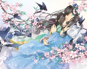 小车拉大马网站